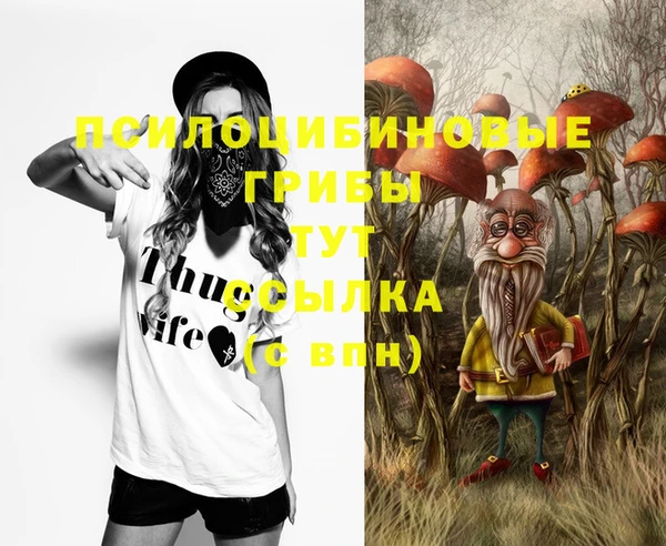 прущий лед Алексеевка