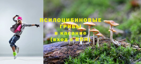 амф Абаза